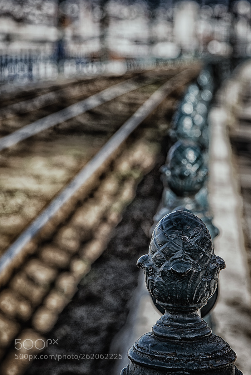 Nikon D800 sample photo. Waiting for a train photography
