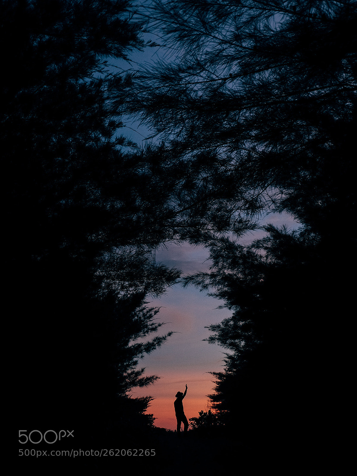 Fujifilm X-T10 sample photo. Milky sky photography