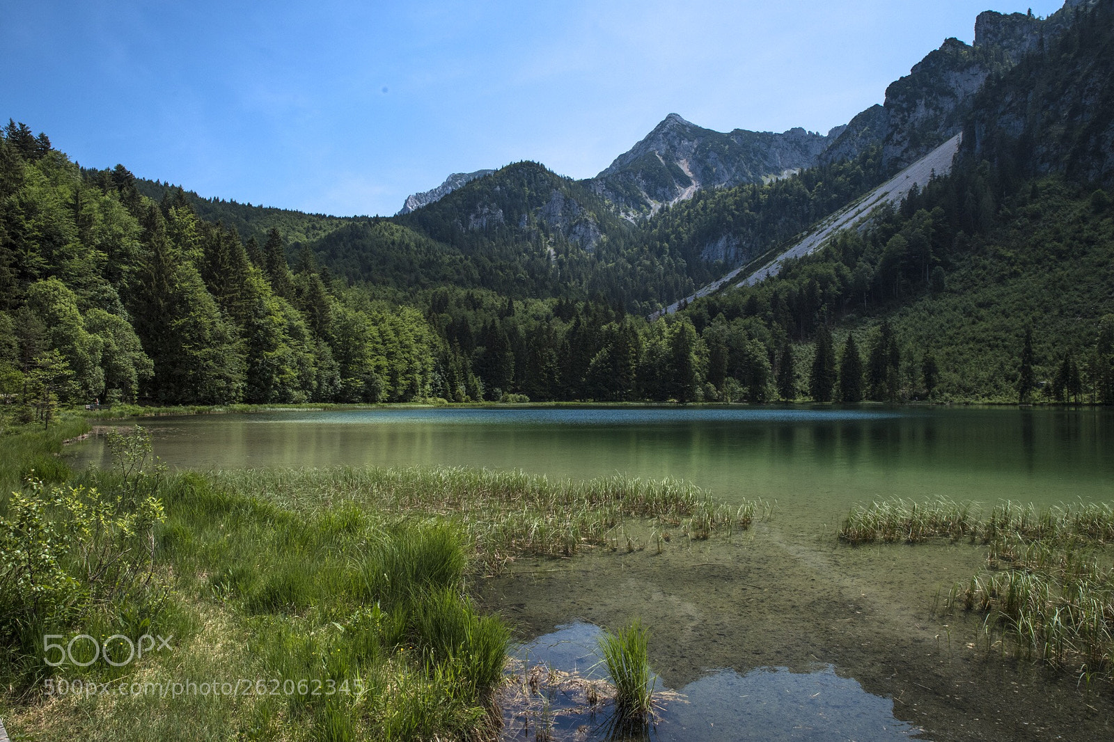 Nikon D5 sample photo. Frillensee photography