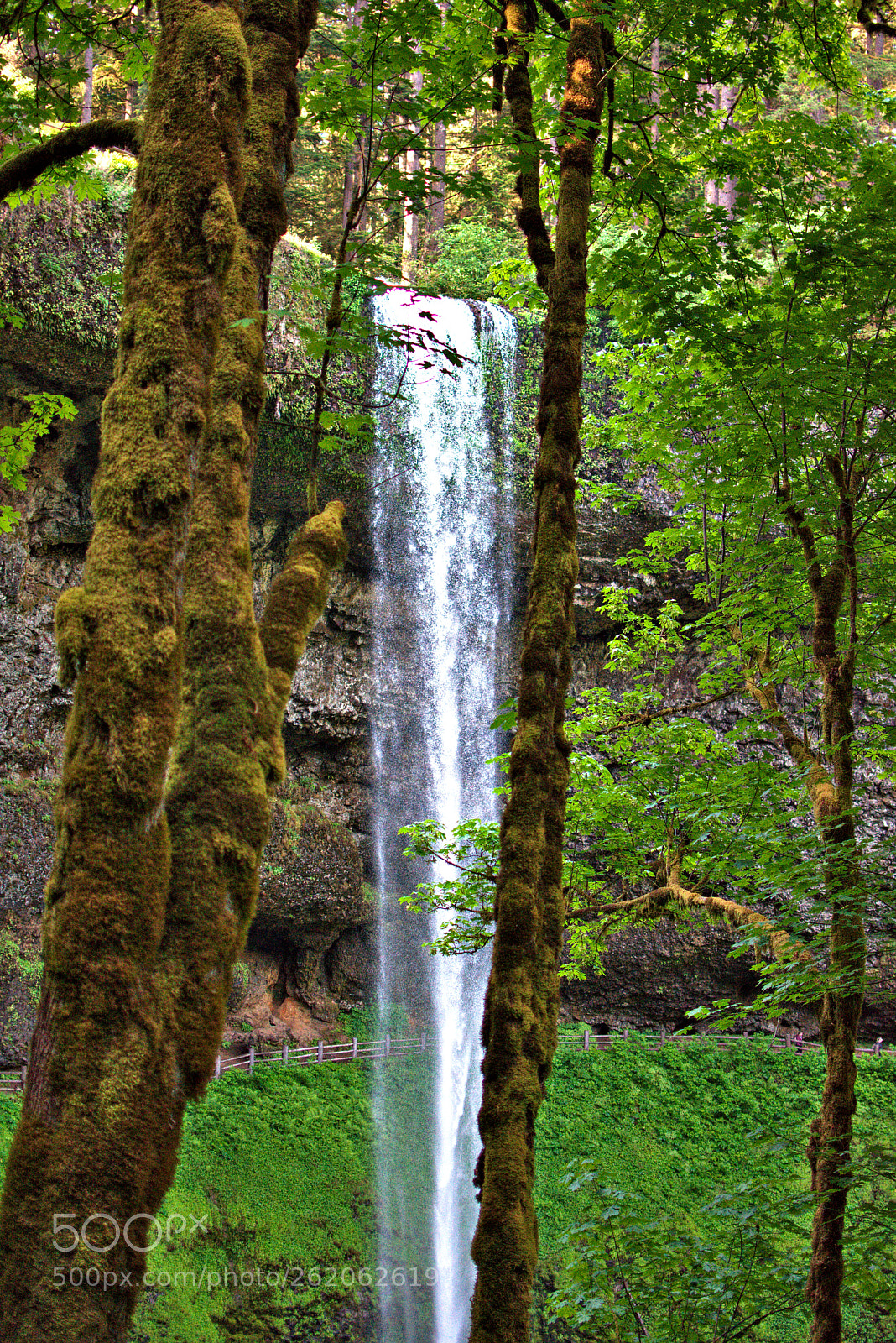 Nikon D3400 sample photo. Silver falls x photography
