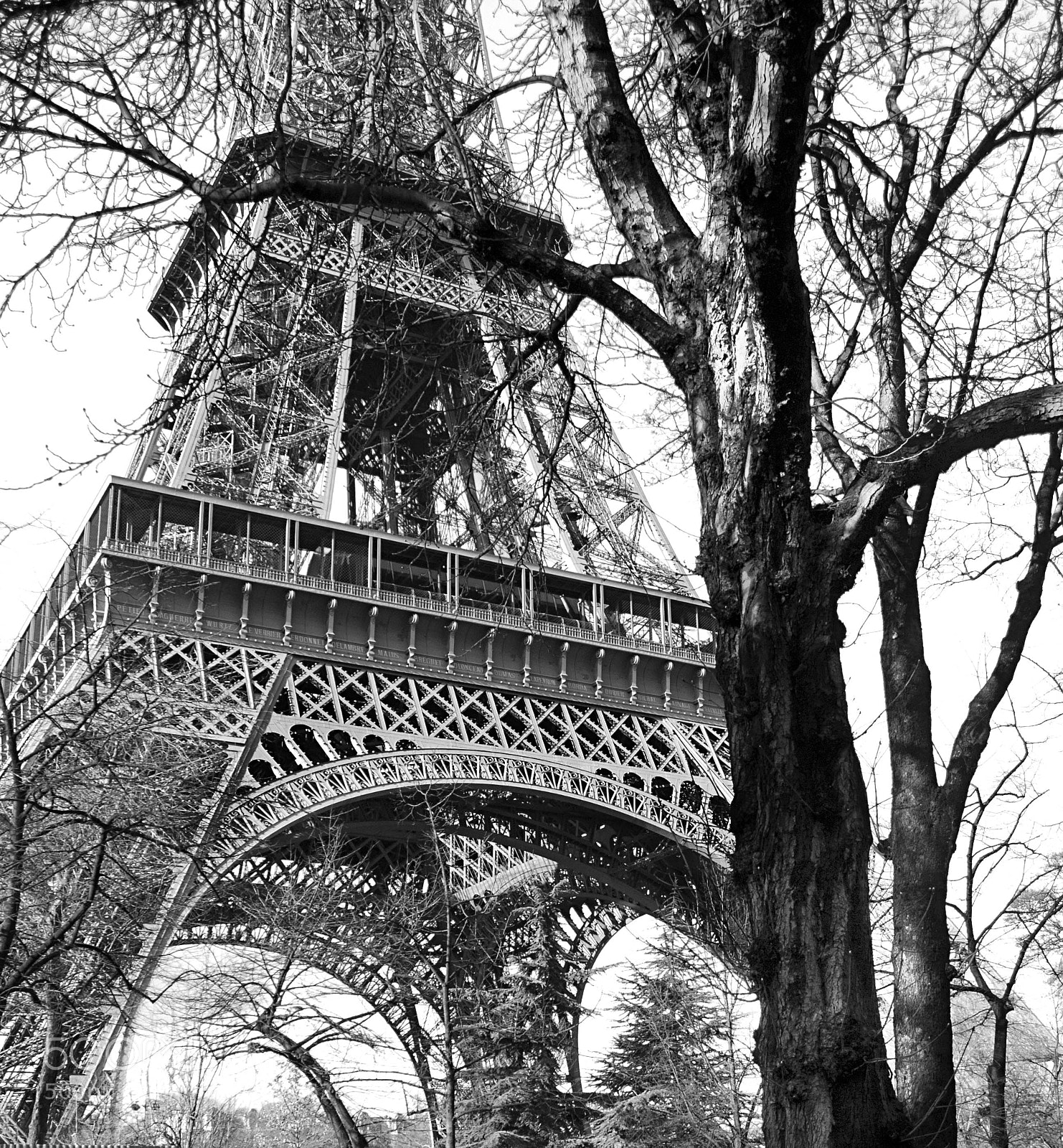 Nikon D200 sample photo. Tour eiffel photography