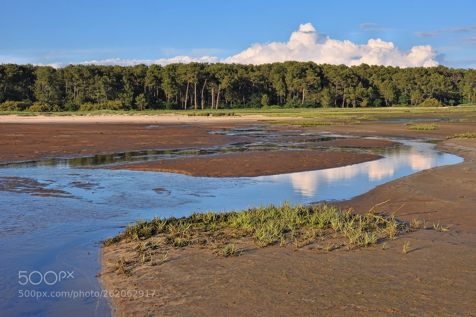 Nikon D90 sample photo. Low tide photography