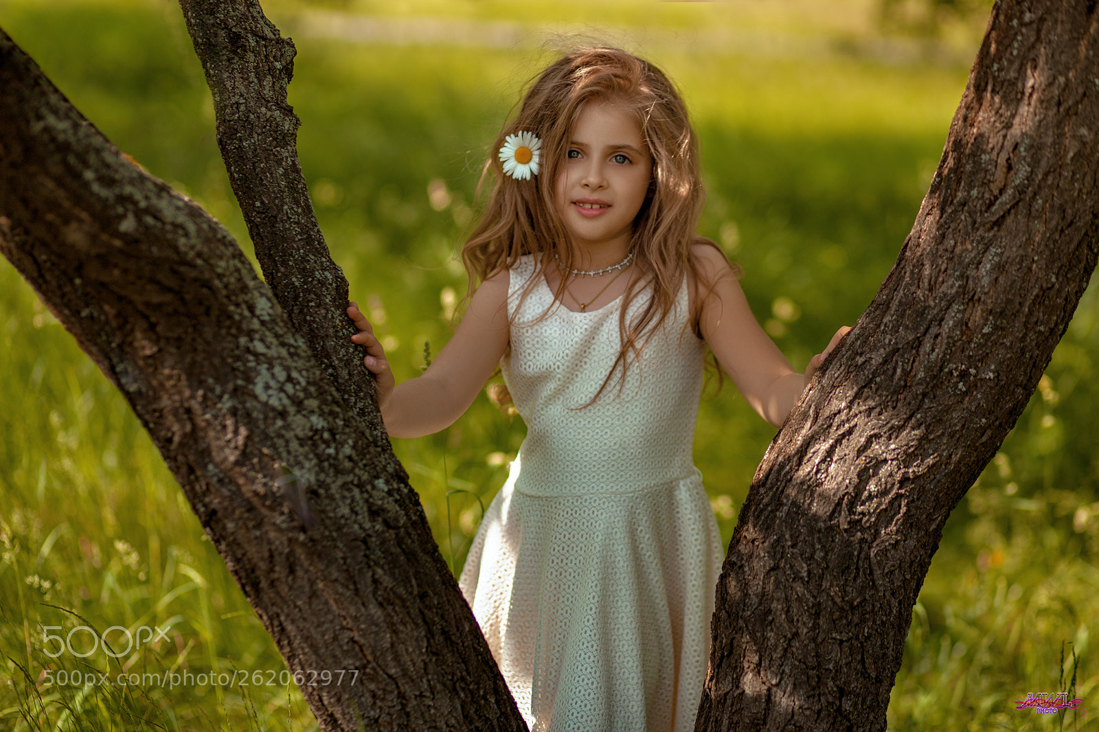 Canon EOS 5D Mark II sample photo. Sasha photography