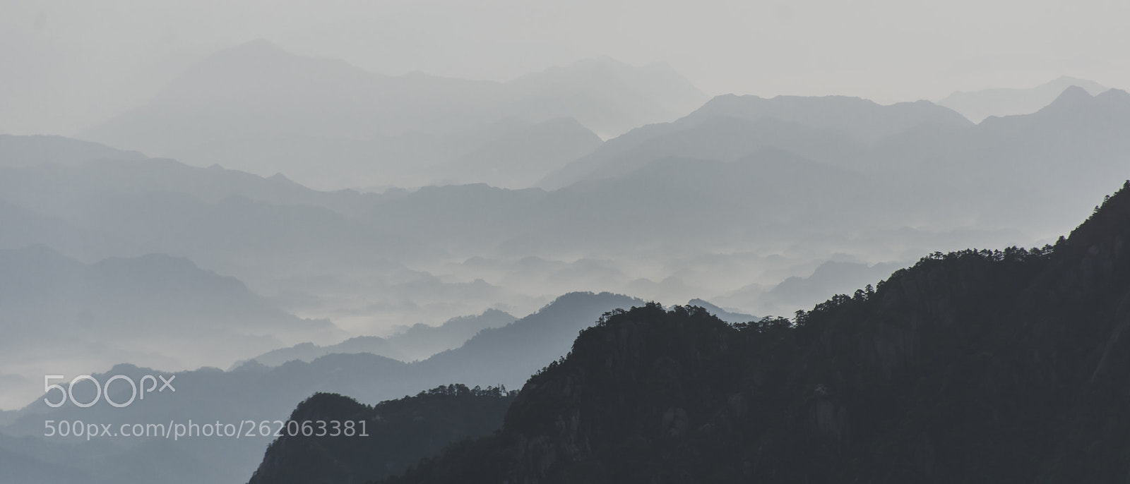 Nikon D7100 sample photo. Silence photography