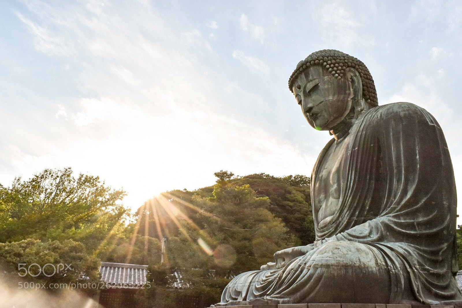 Nikon D5600 sample photo. Great buddha of kamakura photography