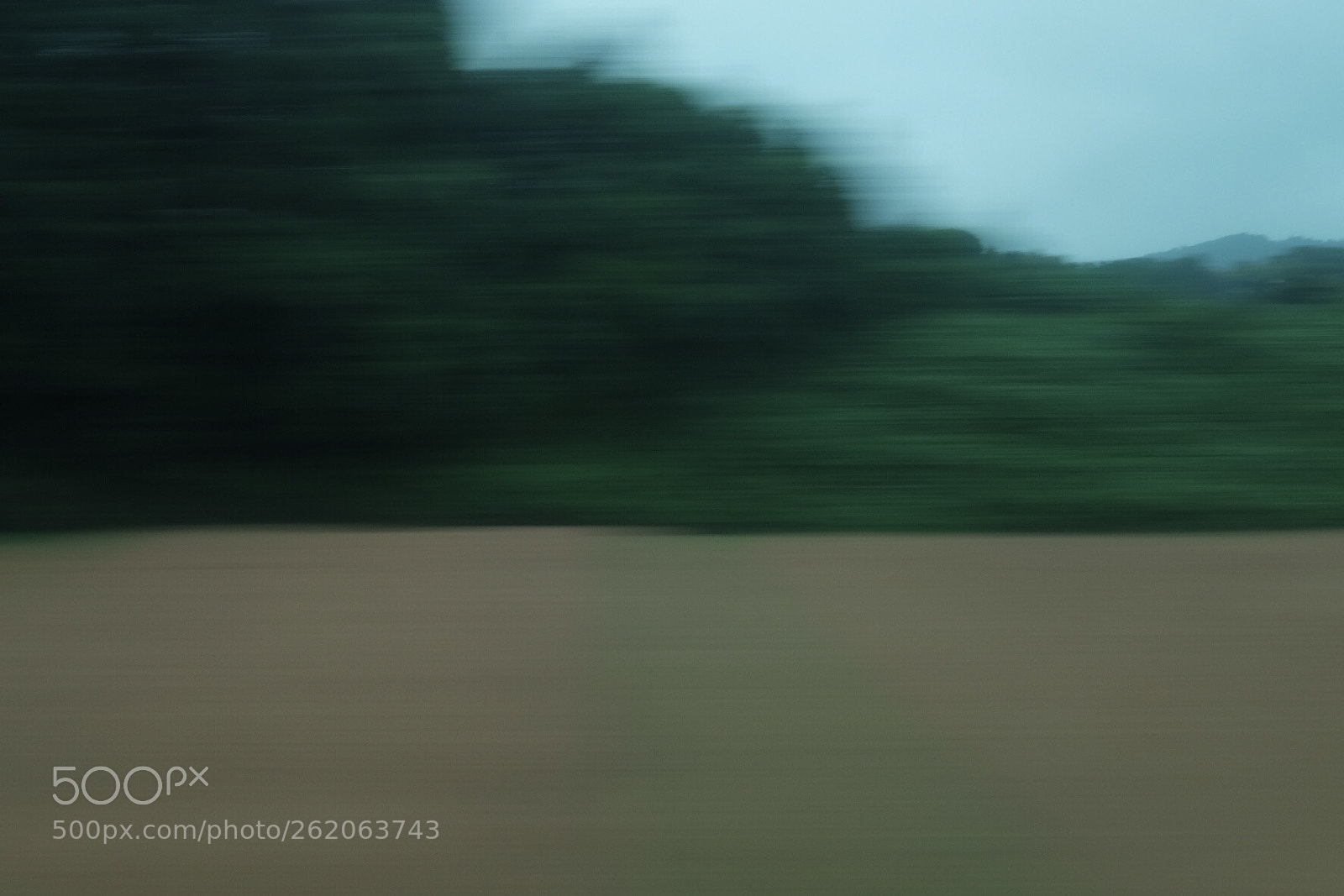Fujifilm X-T10 sample photo. Untitled photography