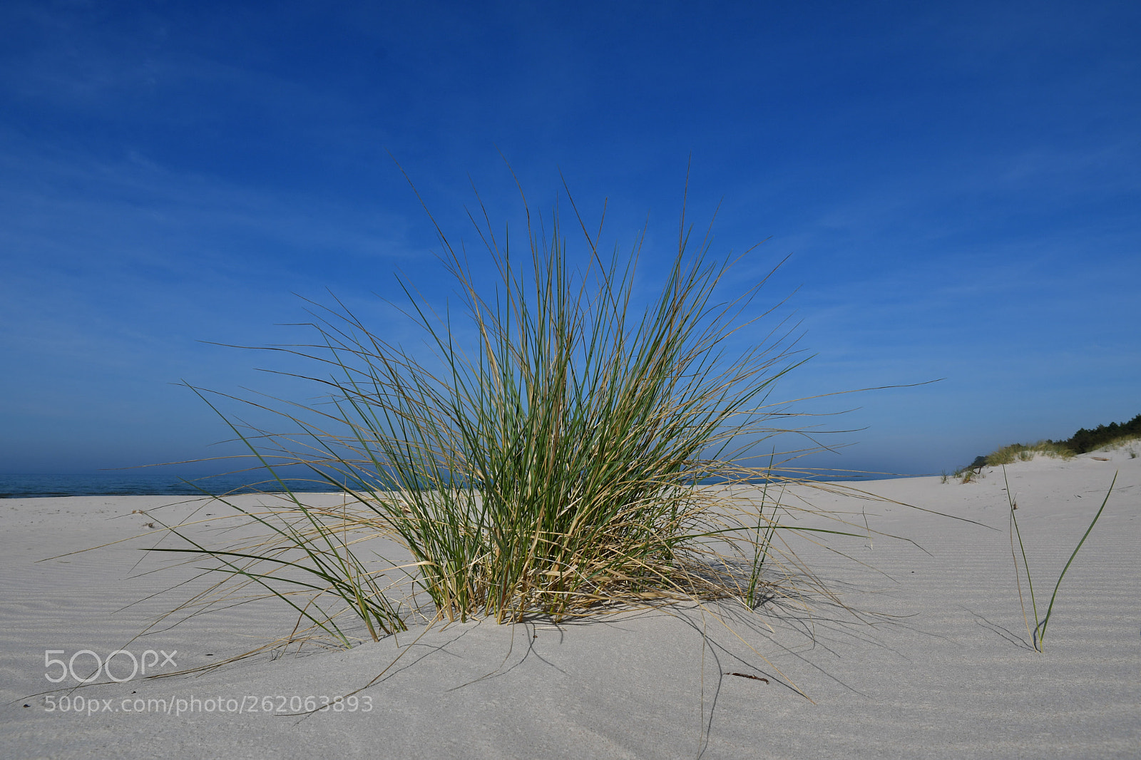 Nikon D500 sample photo. Summer impressions from debki photography