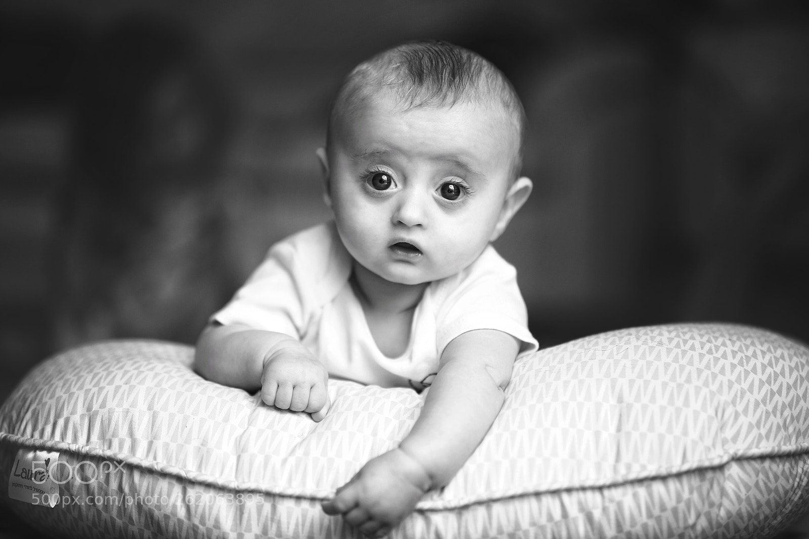 Canon EOS 6D sample photo. Hello  photography