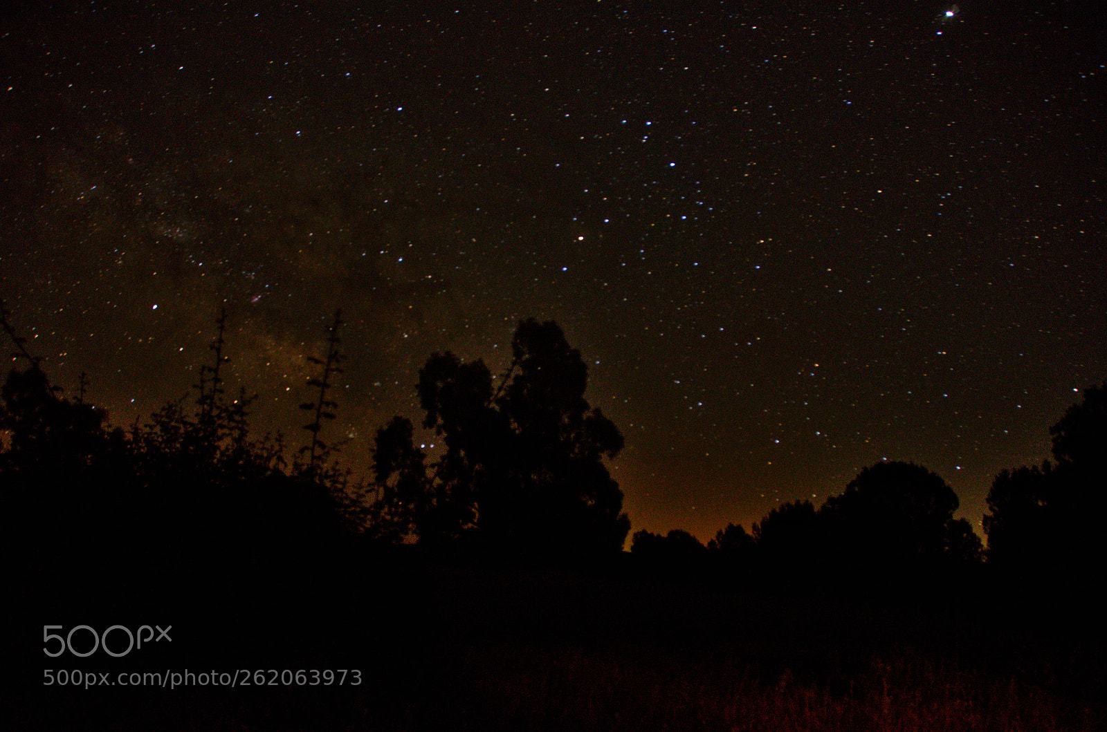 Nikon D5100 sample photo. Sombras nocturnas photography