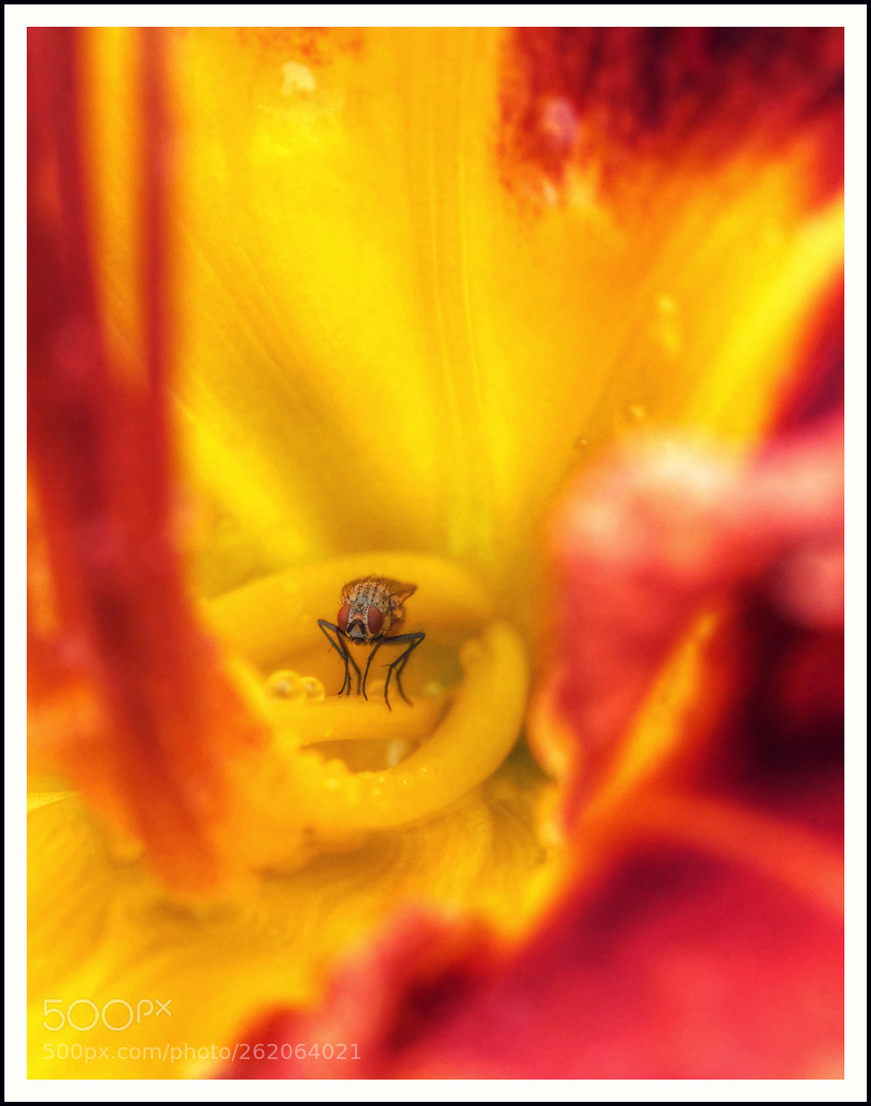 Olympus OM-D E-M1 Mark II sample photo. Warten auf besseres wetter photography