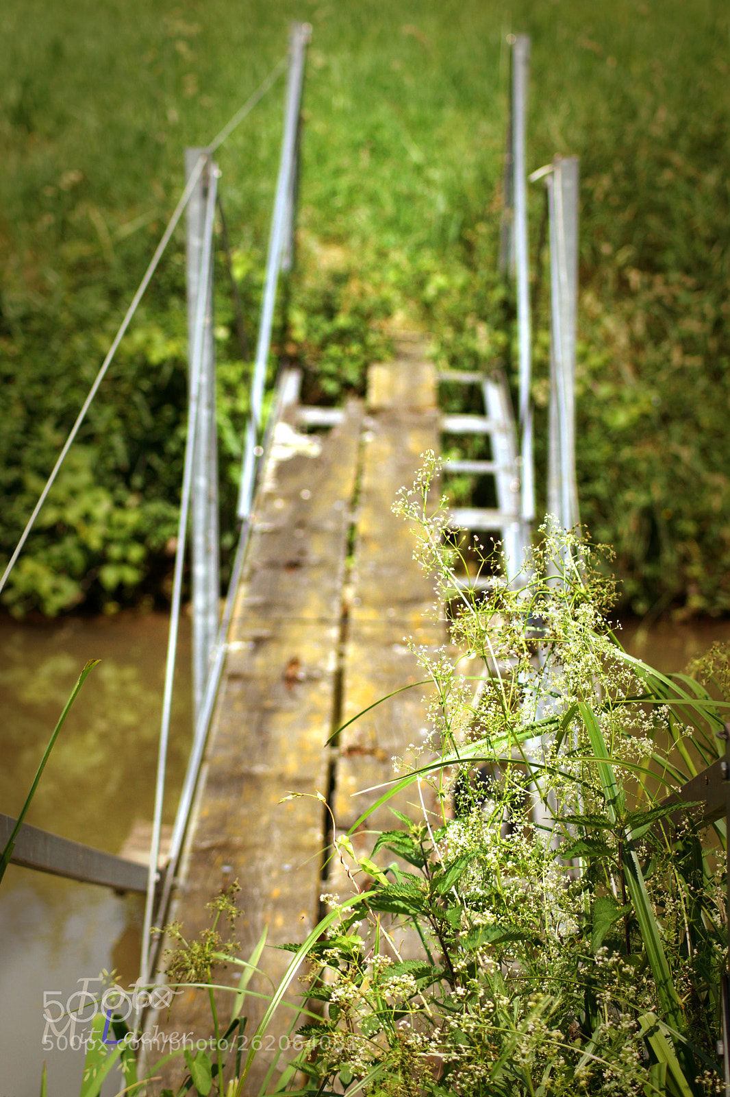 Sony SLT-A65 (SLT-A65V) sample photo. Brücke photography