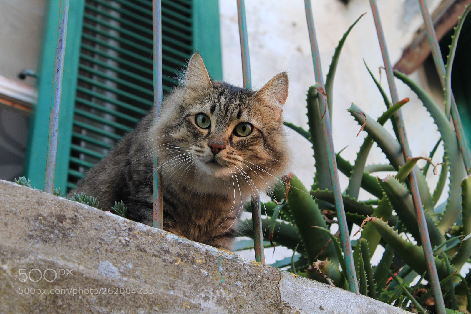Canon EOS 1300D (EOS Rebel T6 / EOS Kiss X80) sample photo. Sam photography