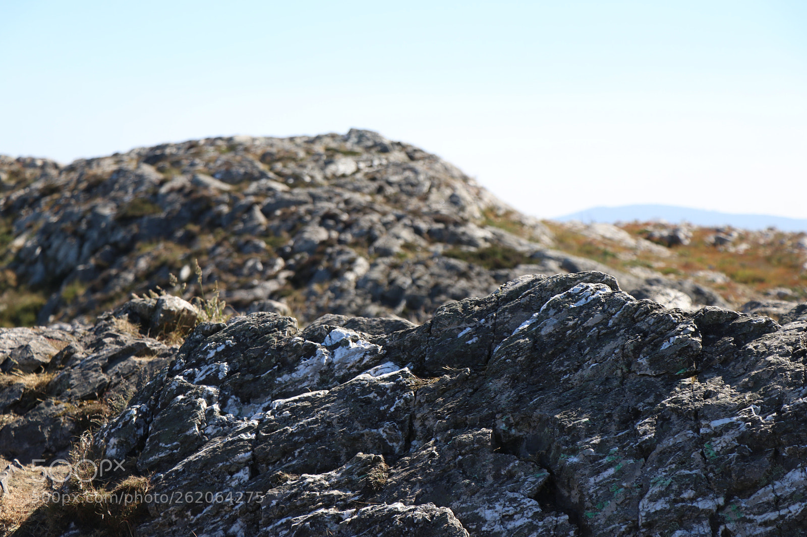Canon EOS 80D sample photo. A trip in bray photography