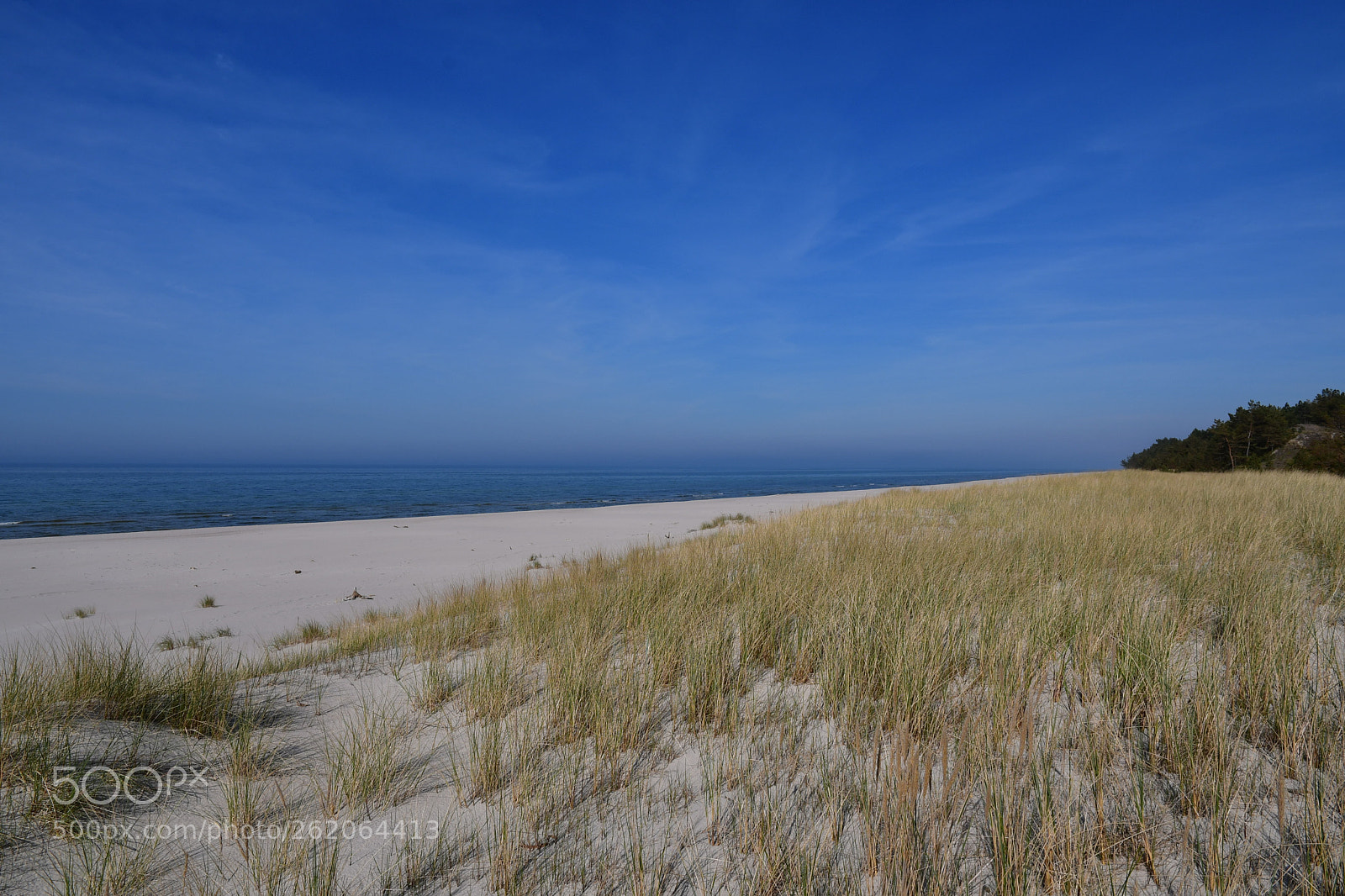 Nikon D500 sample photo. The great beach in photography