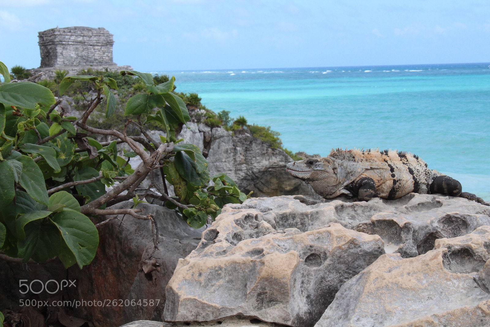 Canon EOS 1300D (EOS Rebel T6 / EOS Kiss X80) sample photo. Tulum photography