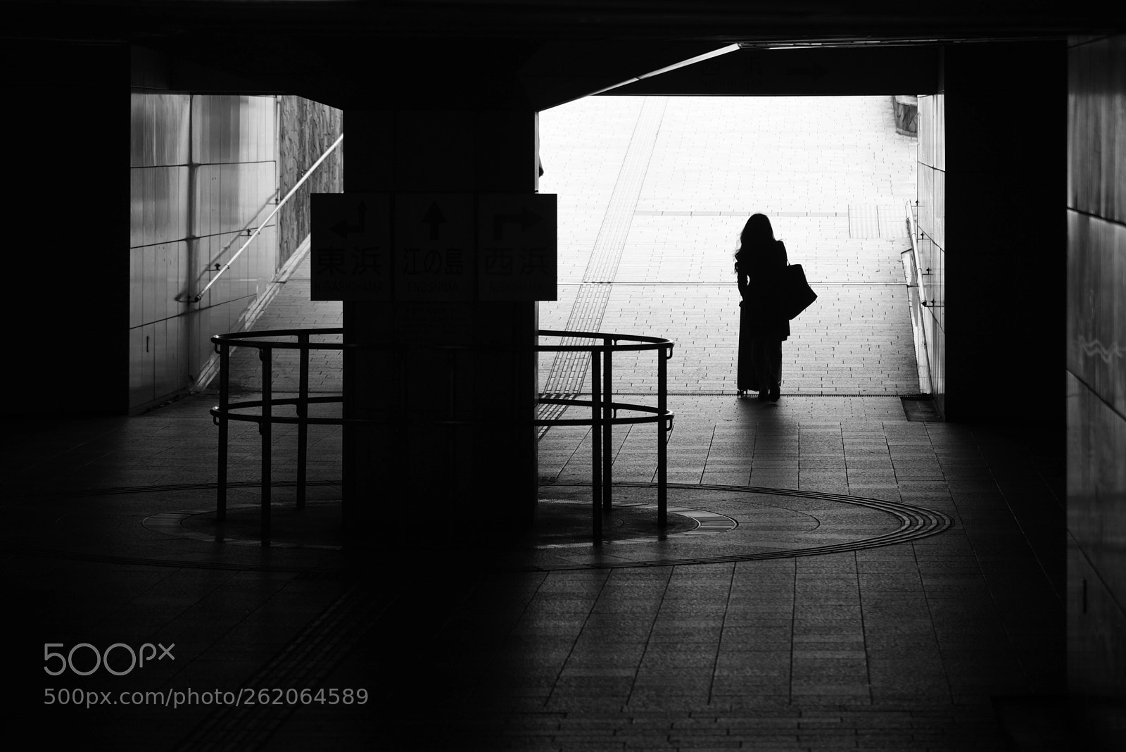 Nikon D810 sample photo. Black and white photography