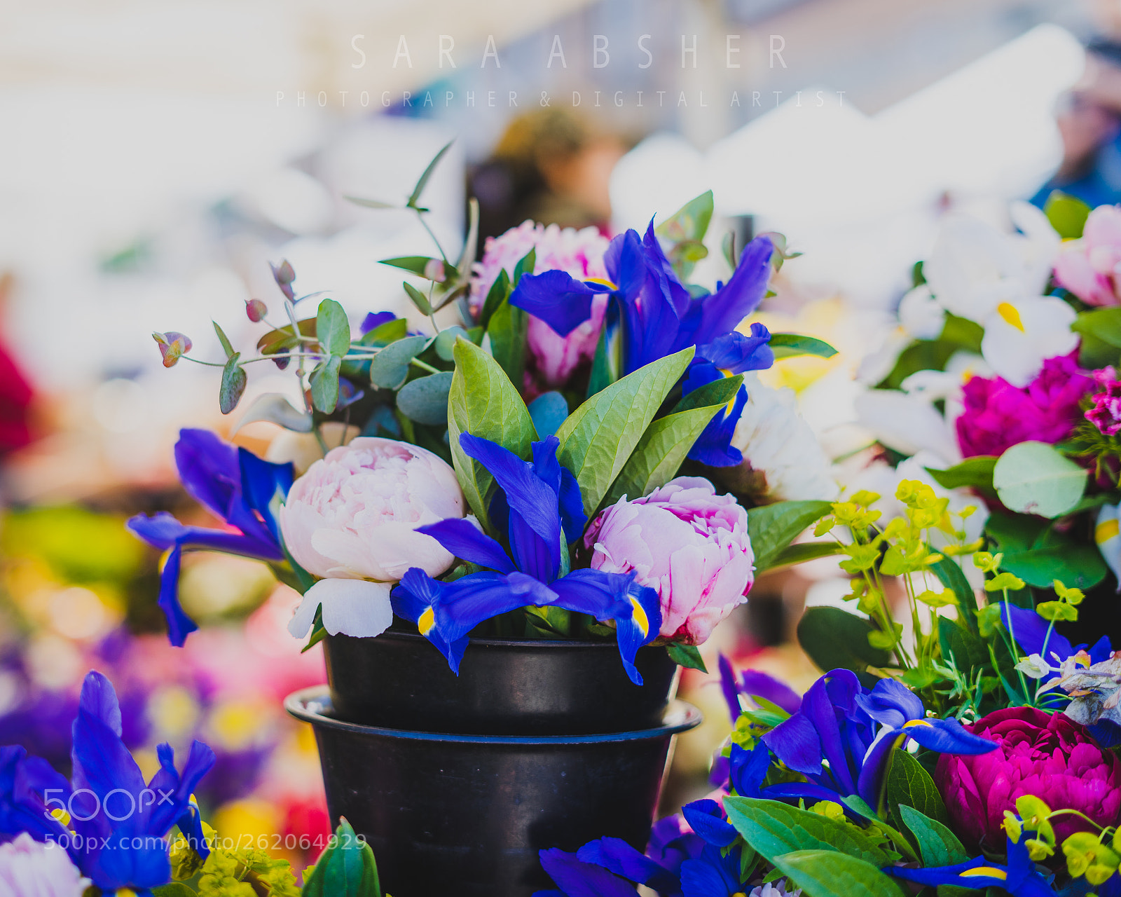 Sony a7 sample photo. Flowers photography