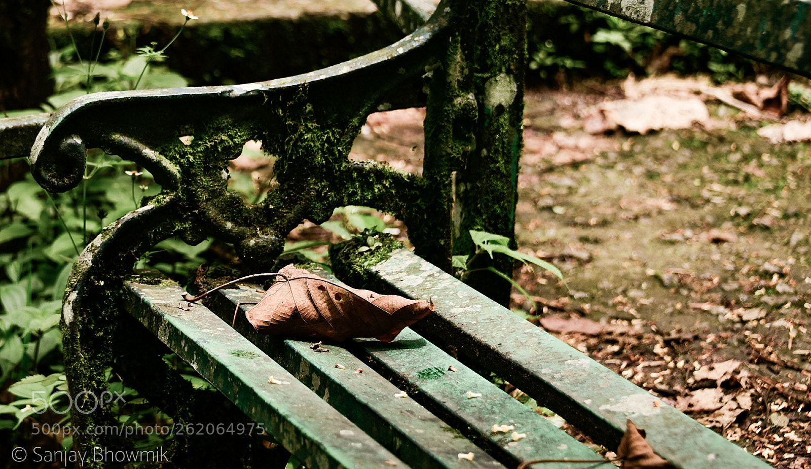 Nikon D750 sample photo. Untitled photography