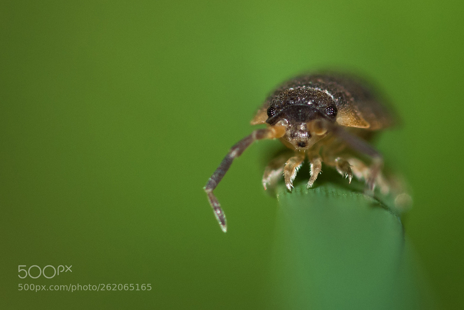 Nikon D810 sample photo. Hey! photography