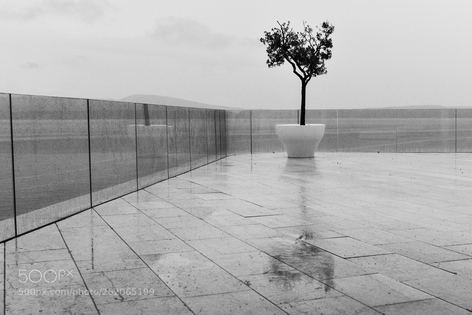 Nikon D800 sample photo. It is raining today... photography