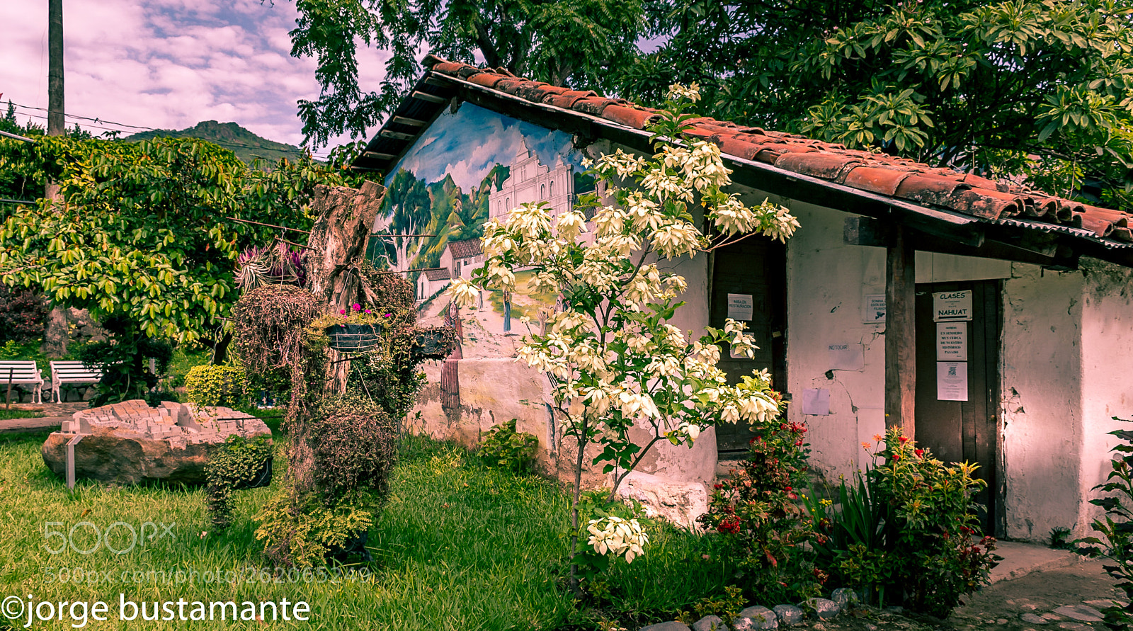 Nikon D7500 sample photo. Casa. photography
