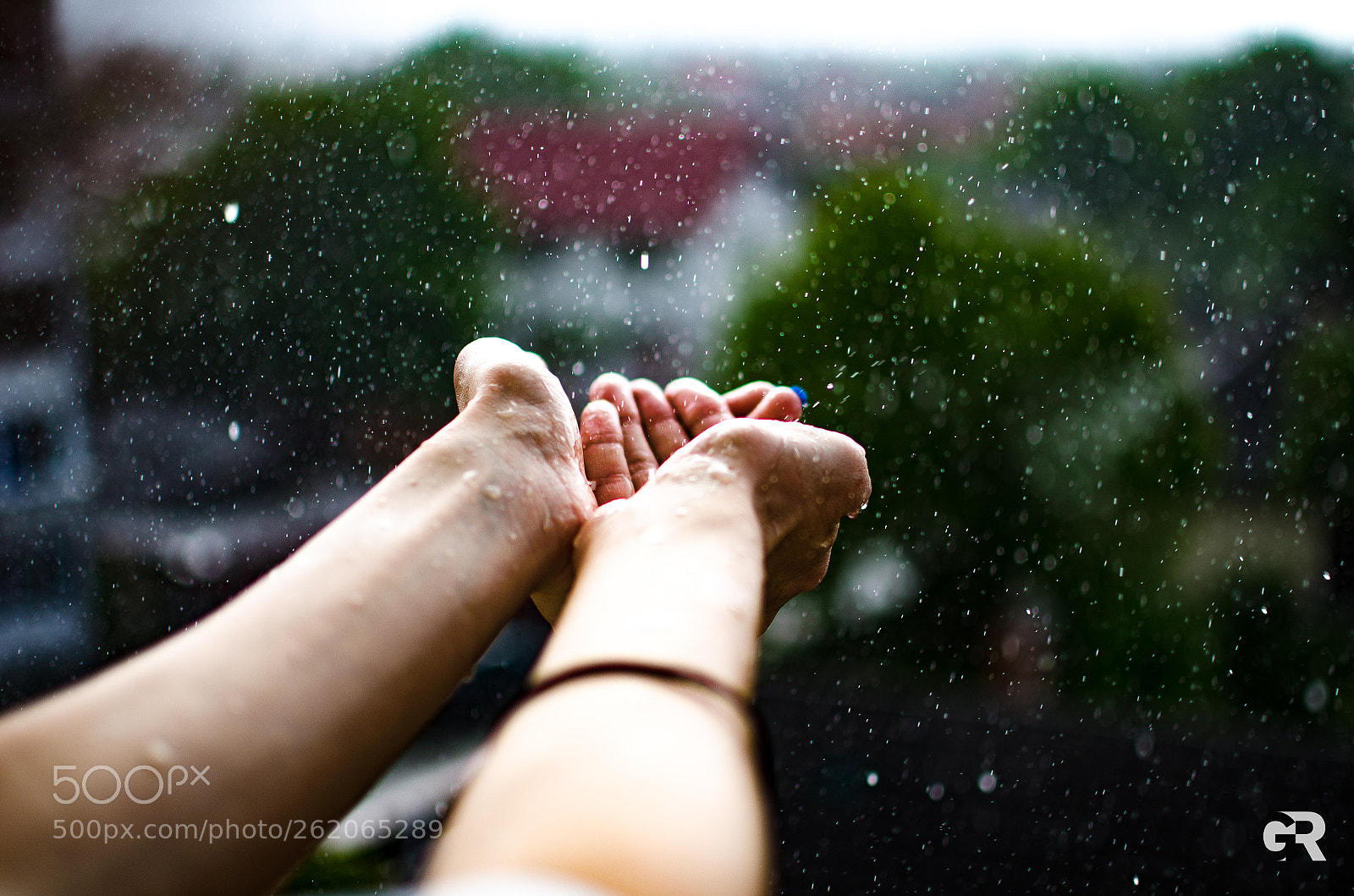 Nikon D7000 sample photo. Catching the rain 2 photography