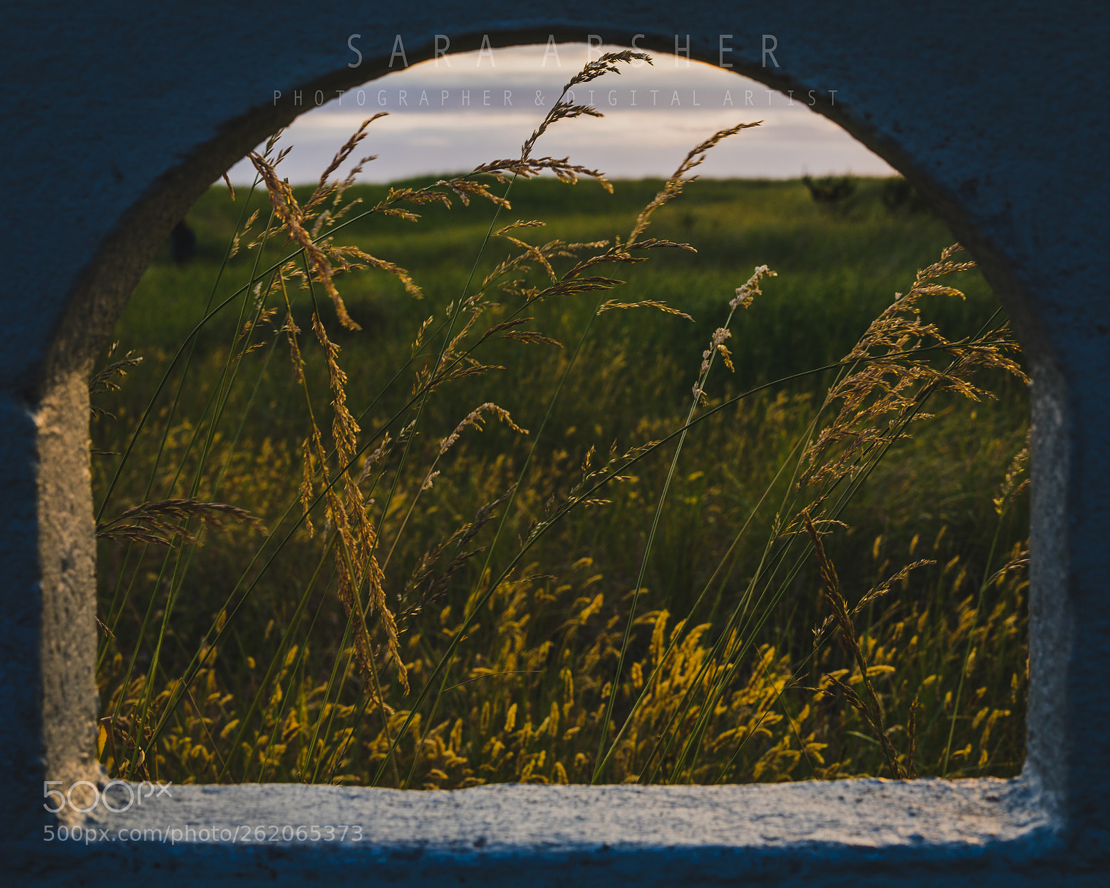 Sony a7 sample photo. Beach scenes photography
