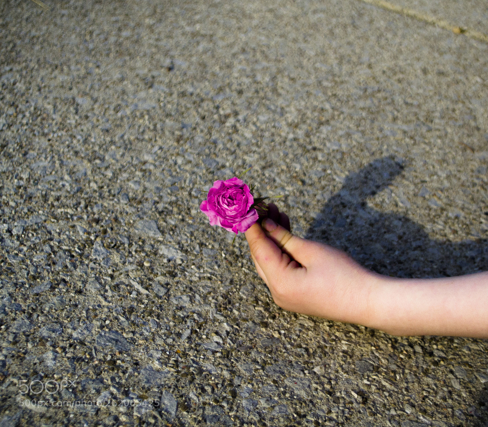 Nikon D3100 sample photo. Objects and shadows photography