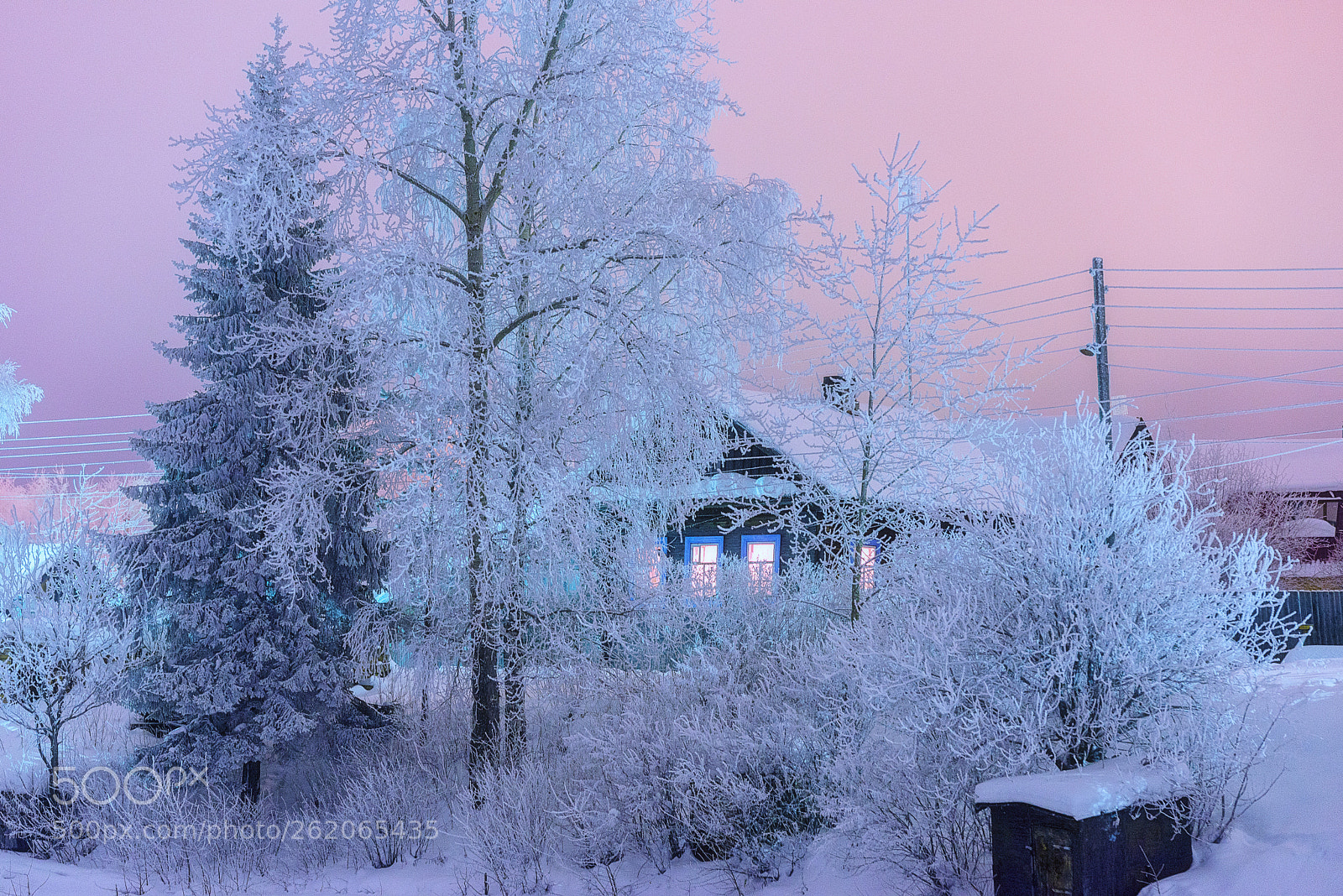 Nikon D610 sample photo. 940. bright evening x photography