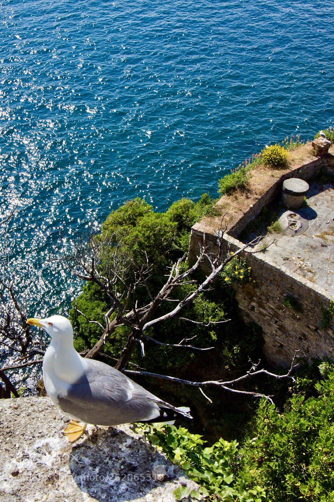 Canon EOS 60D sample photo. Lerici, italia photography