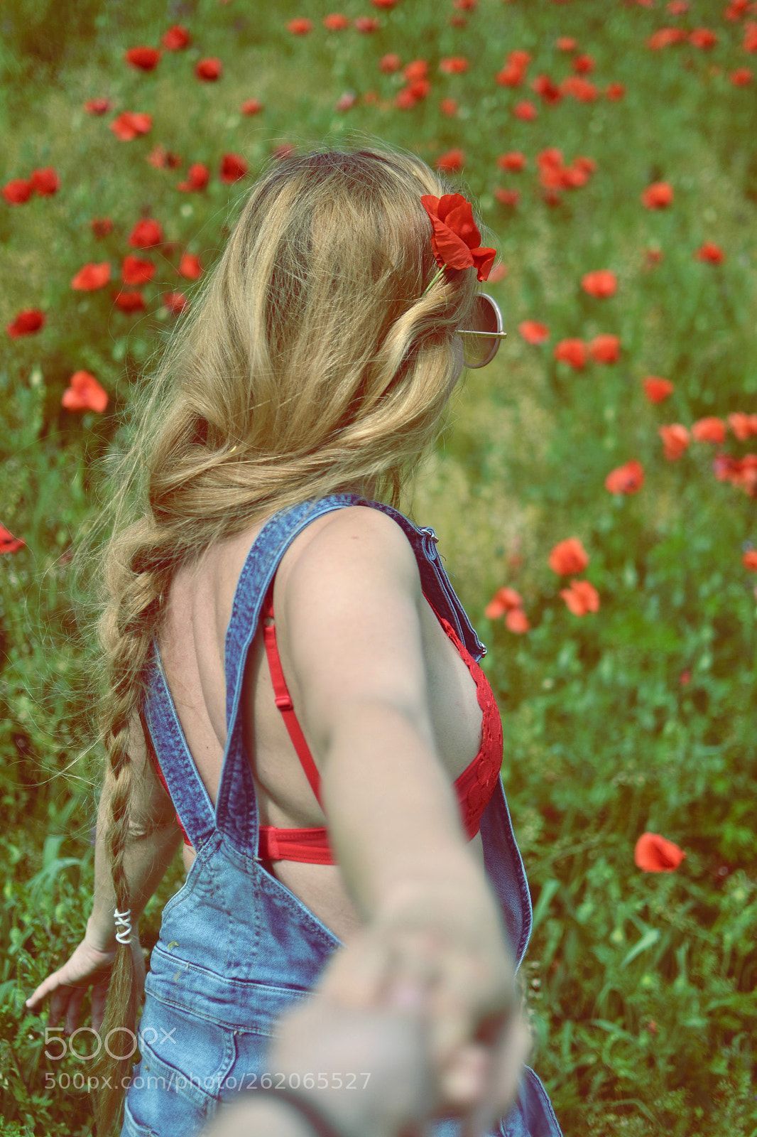 Nikon D3100 sample photo. Leave me in nature photography