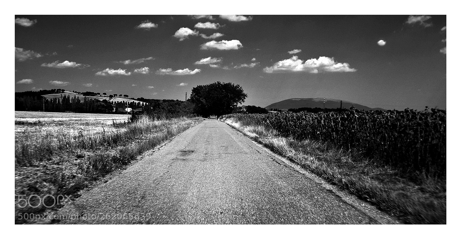 Canon PowerShot ELPH 100 HS (IXUS 115 HS / IXY 210F) sample photo. Driving... photography