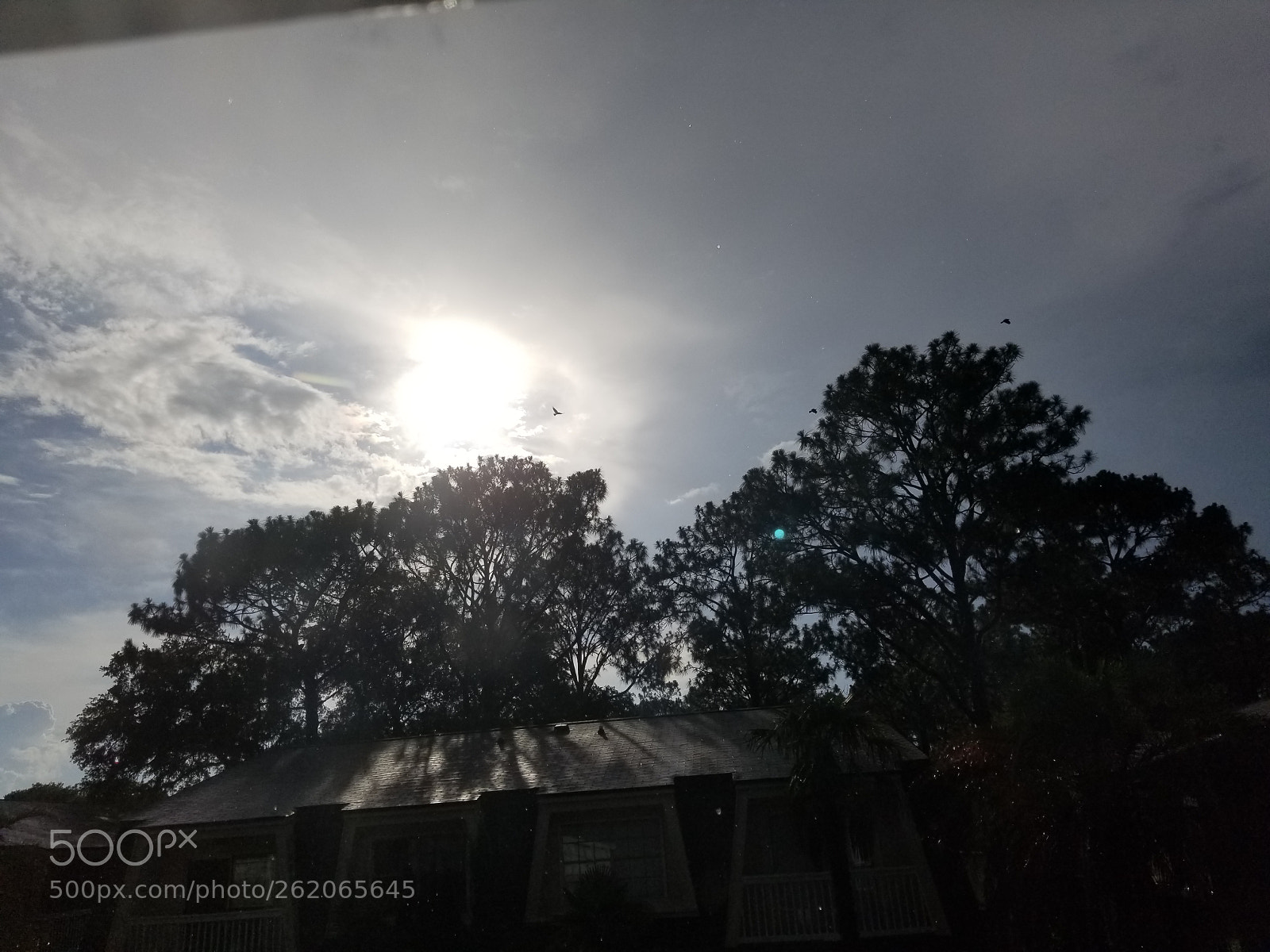 Samsung Galaxy S8+ sample photo. The persistent sun photography