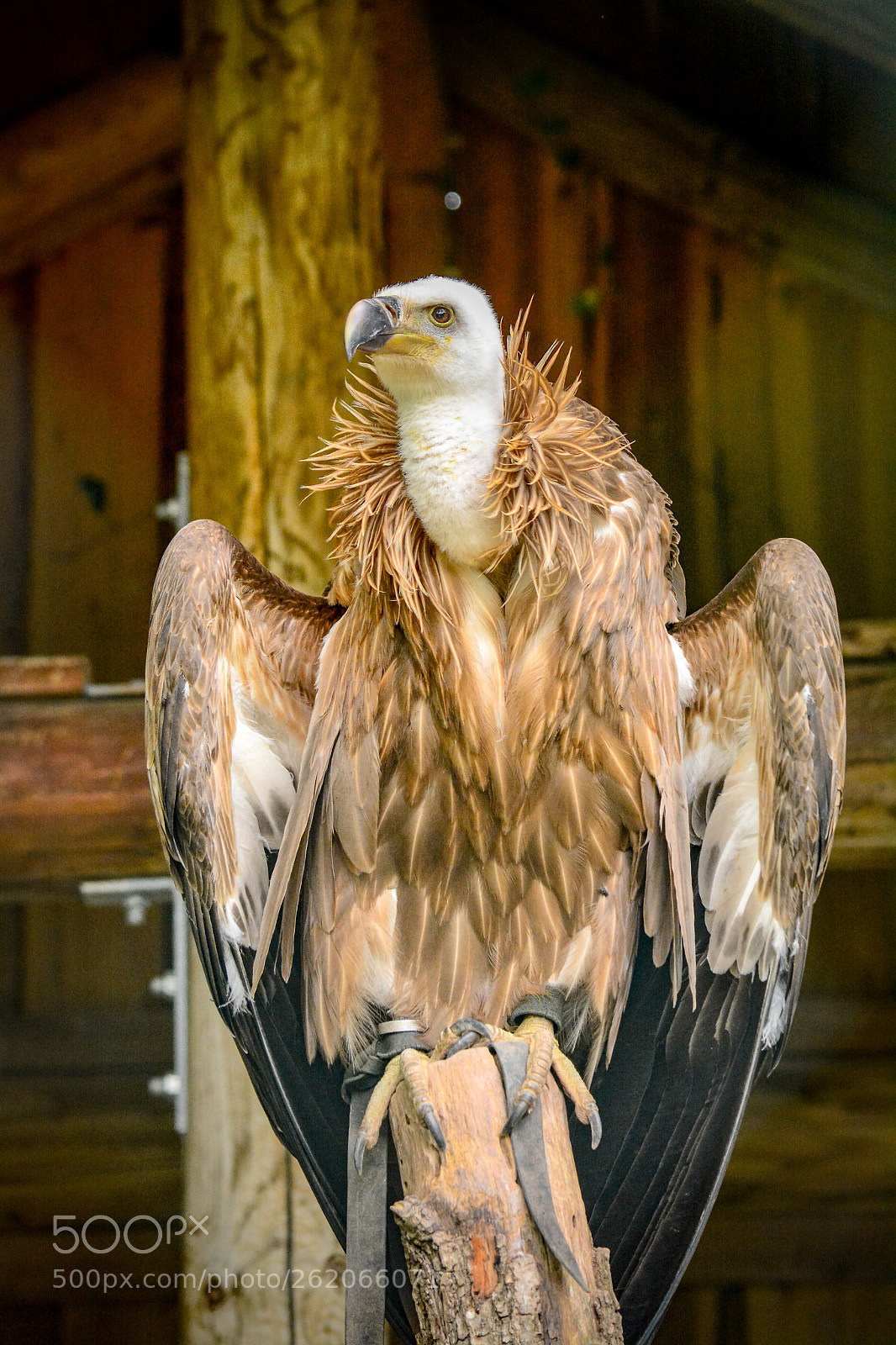 Nikon D7100 sample photo. Schick gemacht photography