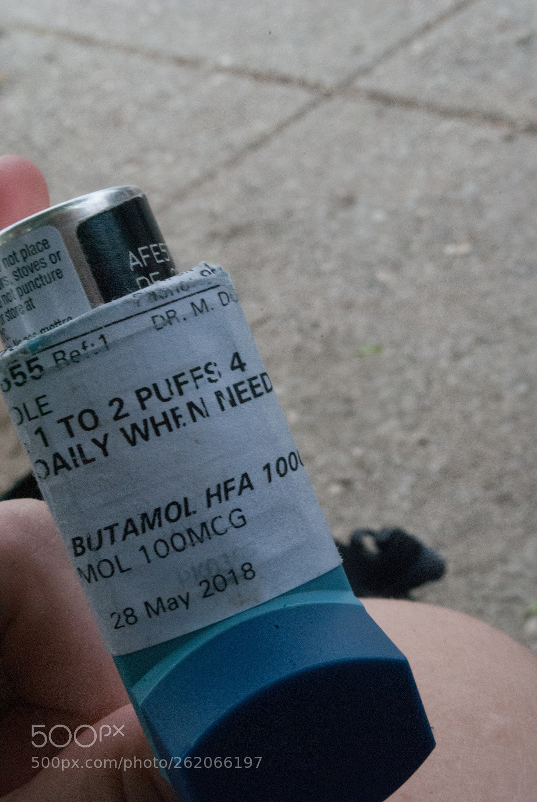Nikon D3000 sample photo. Shallow depth of field photography