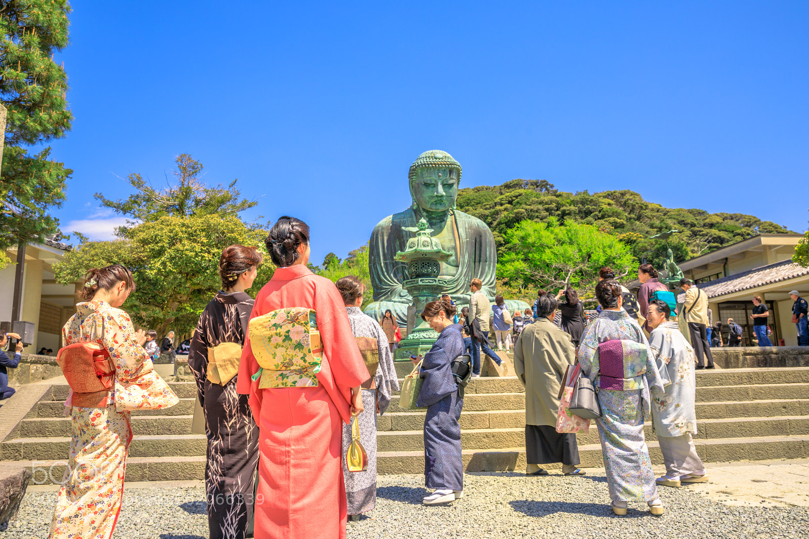 Canon EOS 5D Mark IV sample photo. Kimono women at big photography