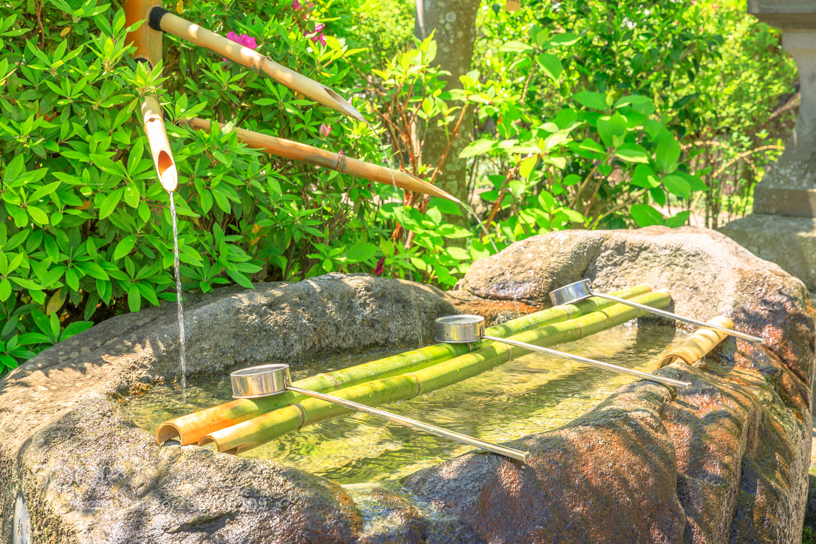 Canon EOS 5D Mark IV sample photo. Buddhist purification fountain photography