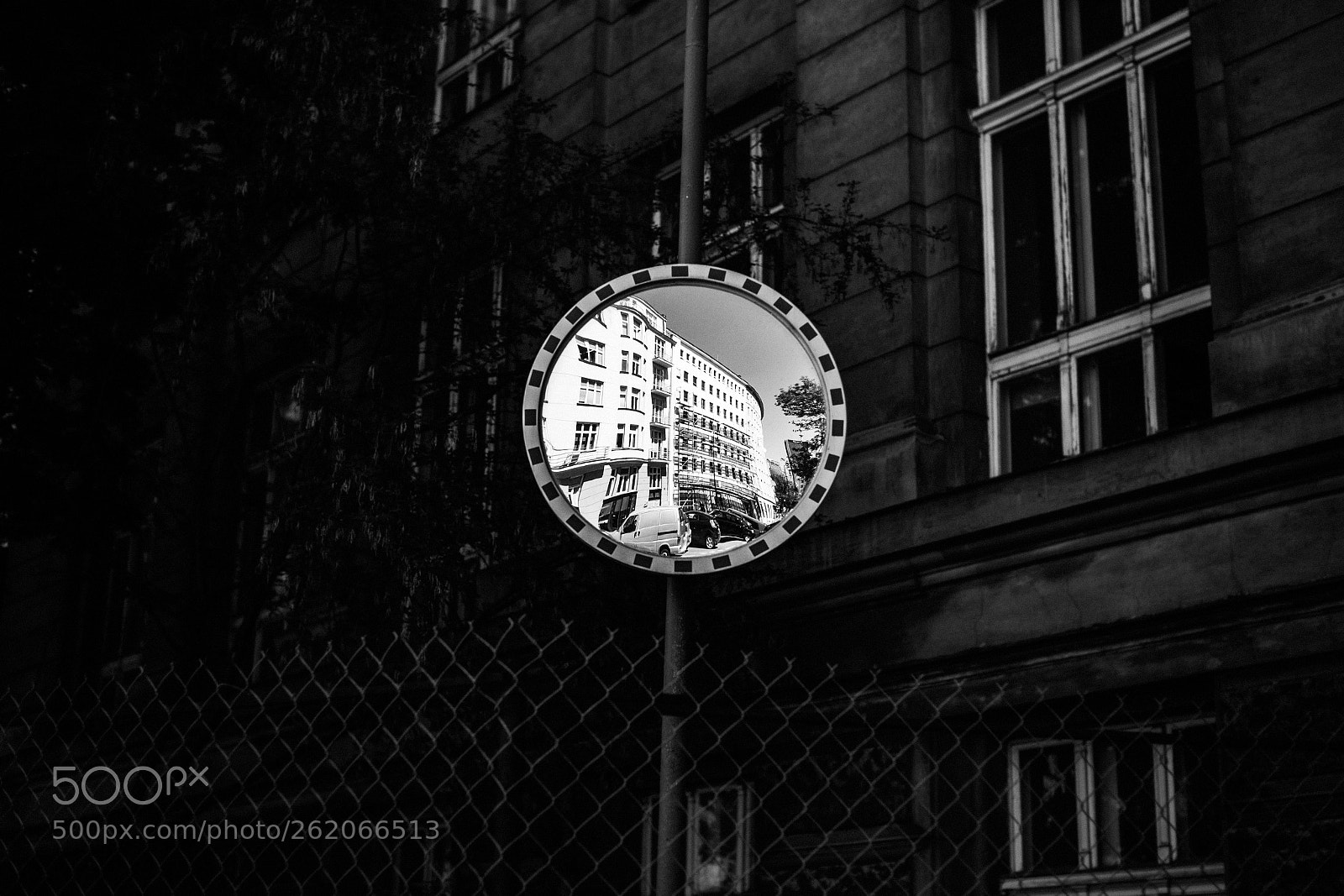 Canon EOS 6D Mark II sample photo. Mirrored world 283/365 photography
