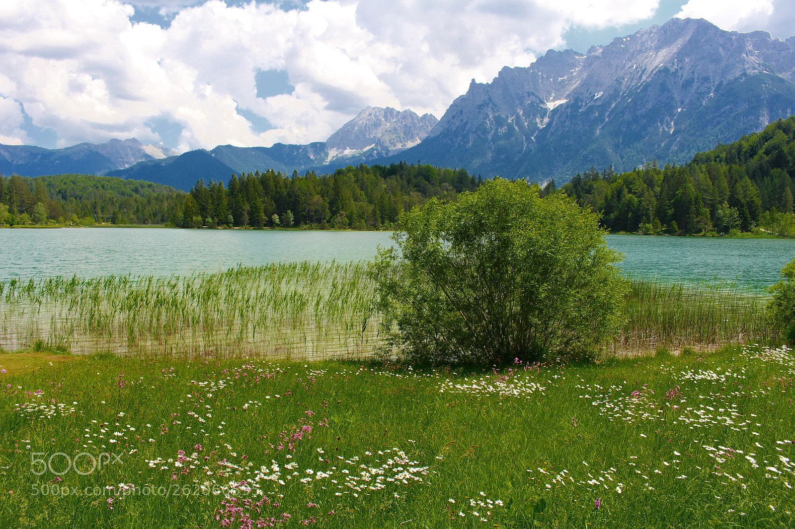 Canon EOS 100D (EOS Rebel SL1 / EOS Kiss X7) sample photo. Lautersee/lake lauter photography