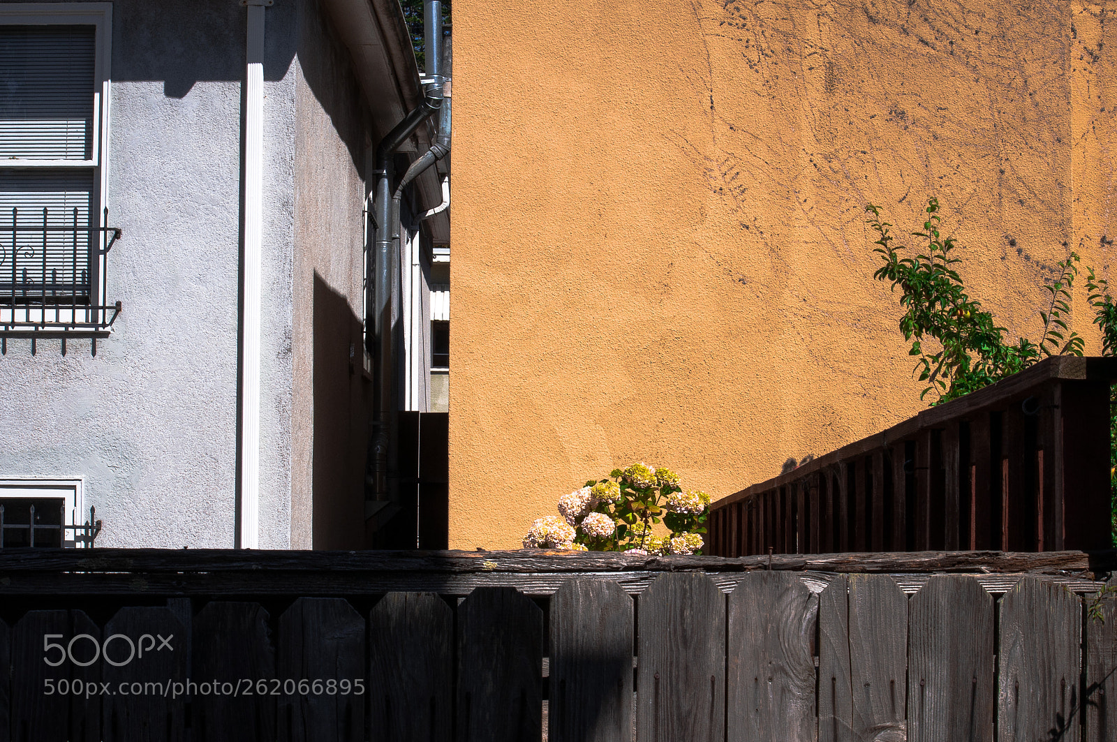 Nikon D90 sample photo. Backyard vista photography