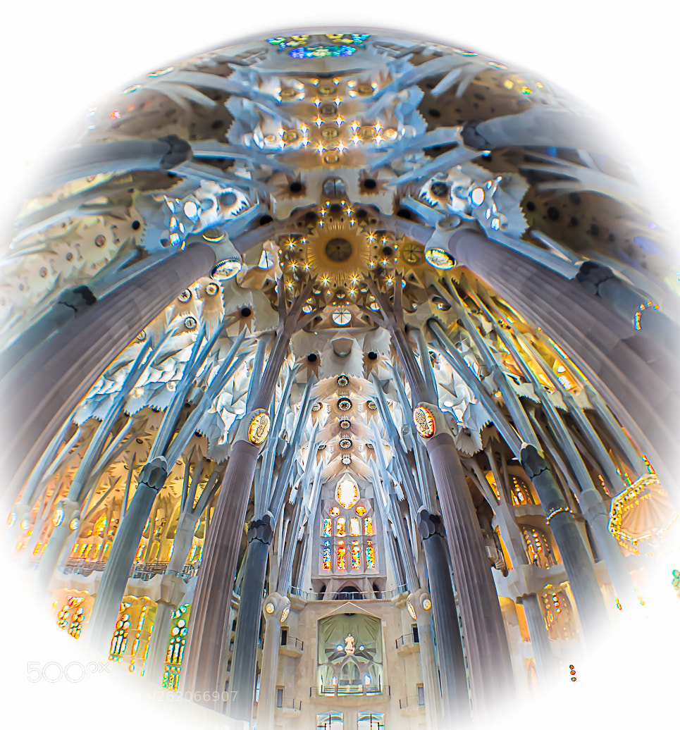 Nikon D4S sample photo. Plafond sagrada familia photography
