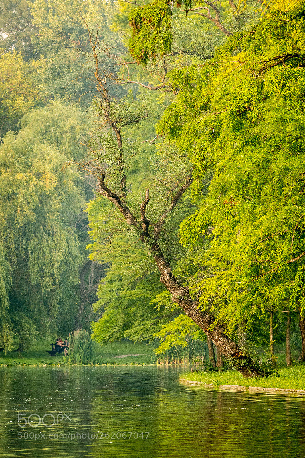 Nikon D7500 sample photo. The silence of the photography