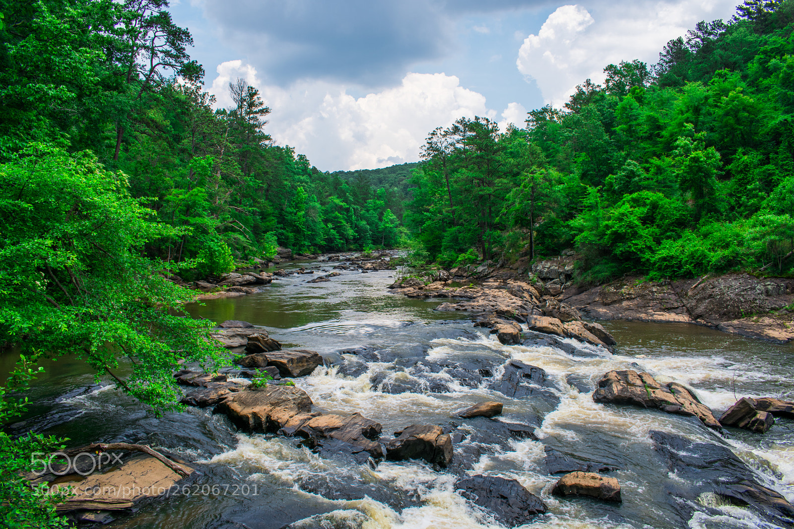 Nikon D3400 sample photo. Atlanta nature photography
