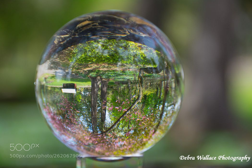 Nikon D7100 sample photo. Crystal ball view photography