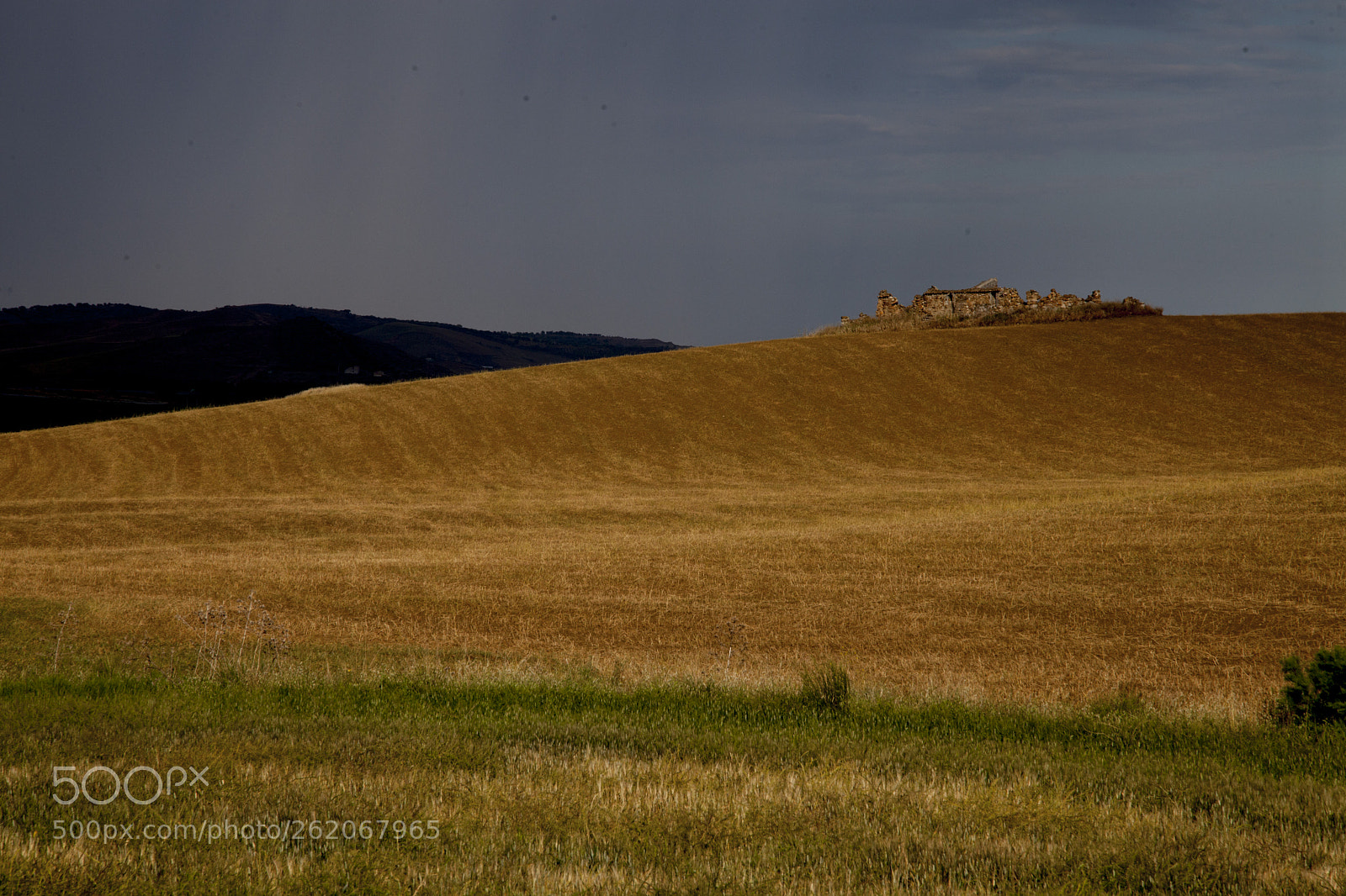 Canon EOS 5D Mark II sample photo. Img photography