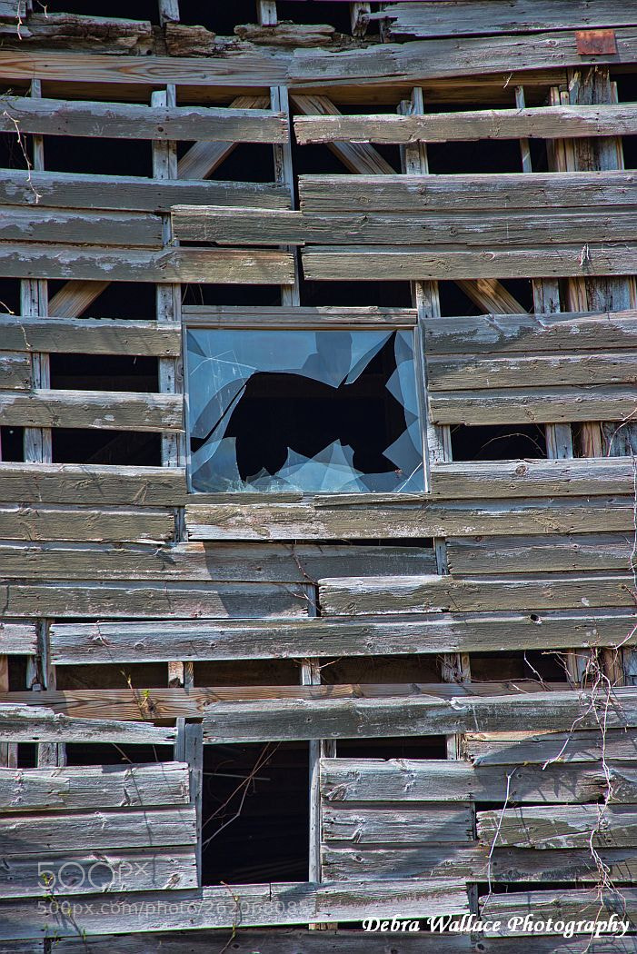 Nikon D750 sample photo. The broken window in photography
