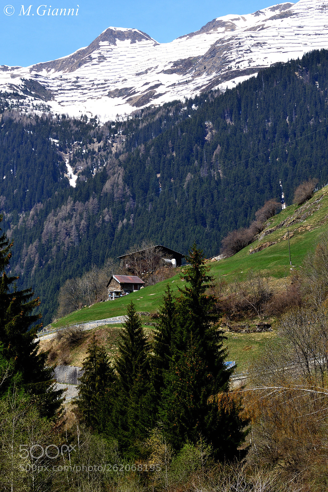 Nikon D3100 sample photo. Suisse panorama photography