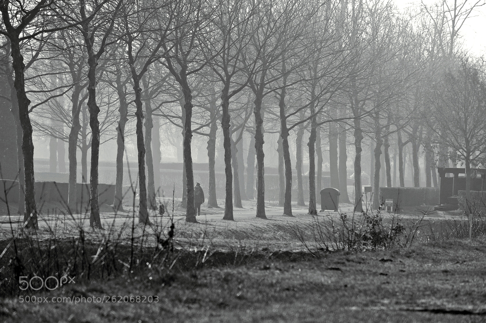 Fujifilm X-T10 sample photo. Misty morning photography