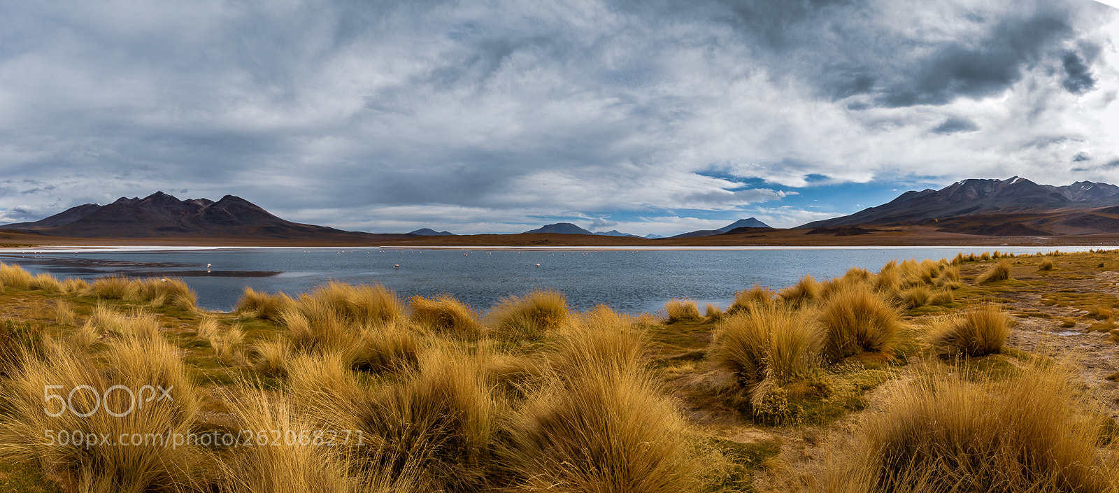 Canon EOS 5D Mark IV sample photo. Bolivia, altiplano - laguna photography