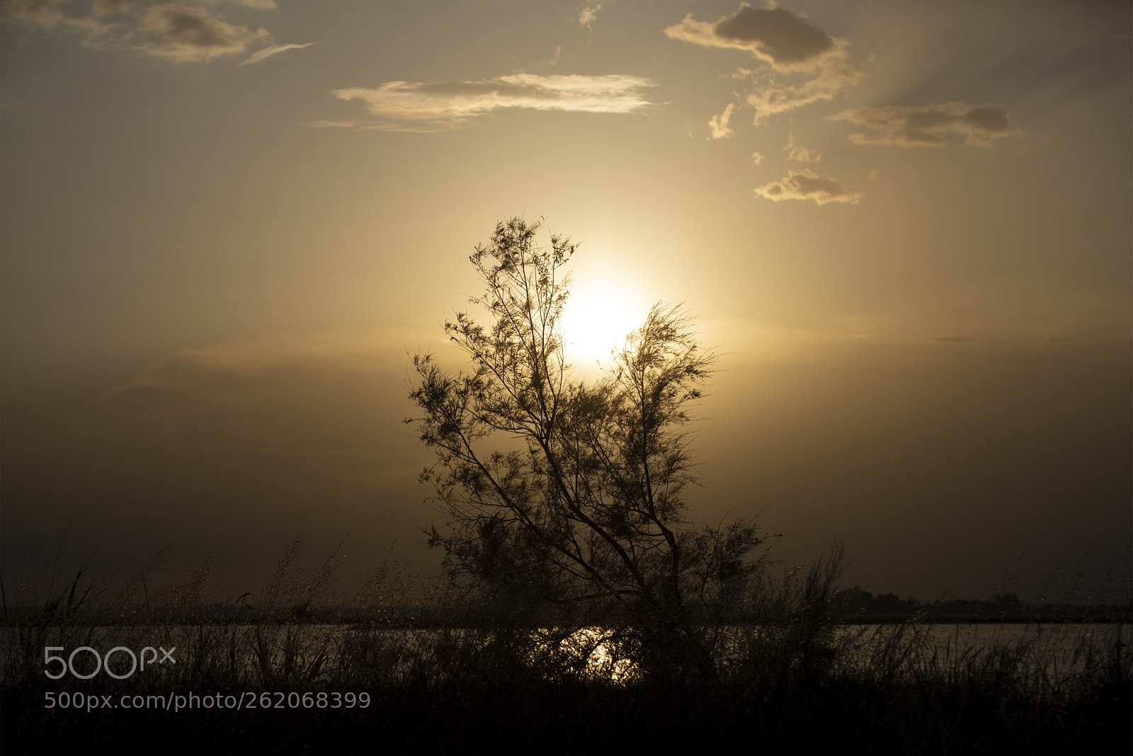 Nikon D610 sample photo. Into the sunset photography
